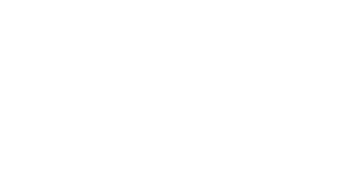 SMMEs Go Digital Expo 2024 | Event Logo | White